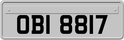 OBI8817