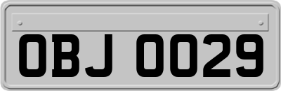 OBJ0029