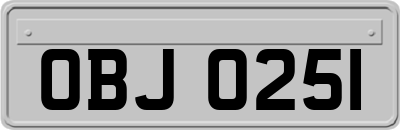 OBJ0251