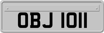 OBJ1011