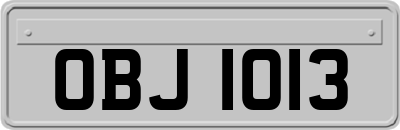 OBJ1013