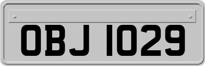 OBJ1029