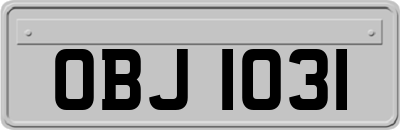 OBJ1031