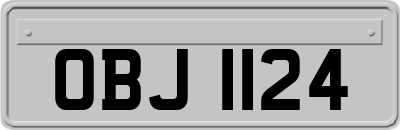OBJ1124