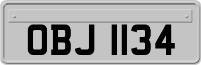 OBJ1134