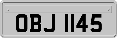 OBJ1145