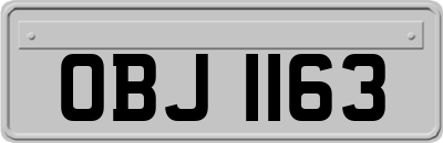 OBJ1163