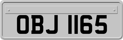 OBJ1165