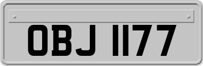 OBJ1177