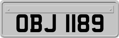 OBJ1189