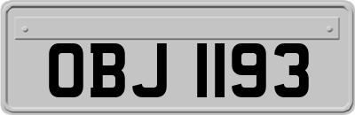 OBJ1193