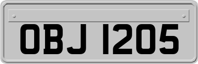OBJ1205