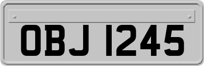 OBJ1245