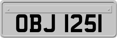 OBJ1251