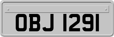 OBJ1291