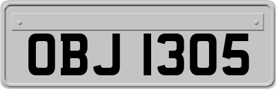 OBJ1305
