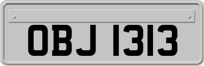 OBJ1313