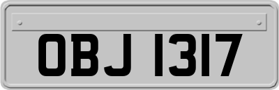 OBJ1317