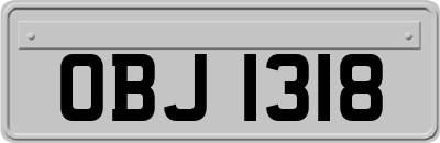OBJ1318