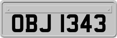 OBJ1343