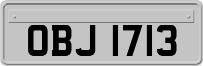 OBJ1713
