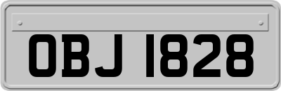 OBJ1828