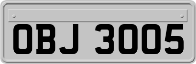 OBJ3005