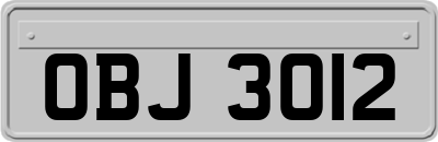 OBJ3012