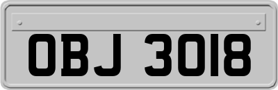 OBJ3018