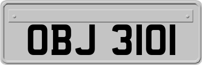 OBJ3101