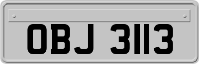 OBJ3113