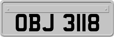 OBJ3118