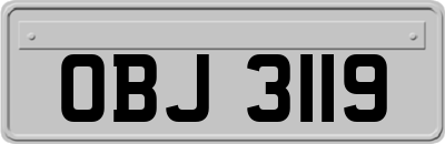 OBJ3119