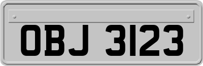 OBJ3123