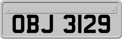 OBJ3129