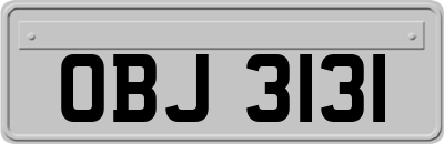 OBJ3131