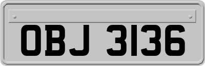 OBJ3136