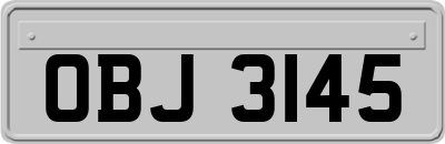 OBJ3145