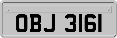 OBJ3161