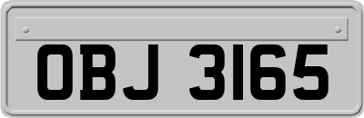 OBJ3165