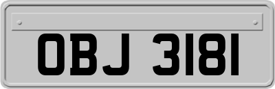 OBJ3181