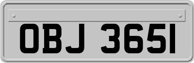 OBJ3651