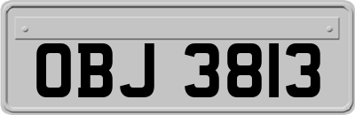 OBJ3813