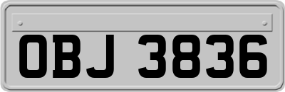 OBJ3836