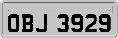 OBJ3929