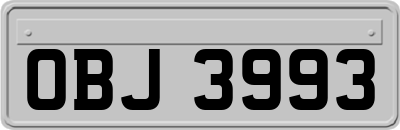 OBJ3993