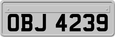 OBJ4239