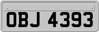 OBJ4393
