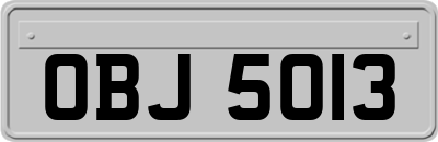 OBJ5013