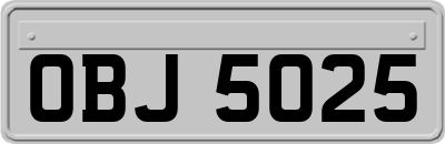 OBJ5025